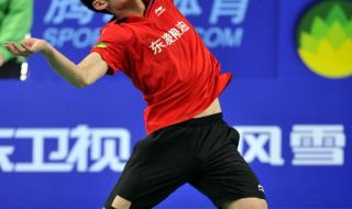 林丹羽毛球比赛高清